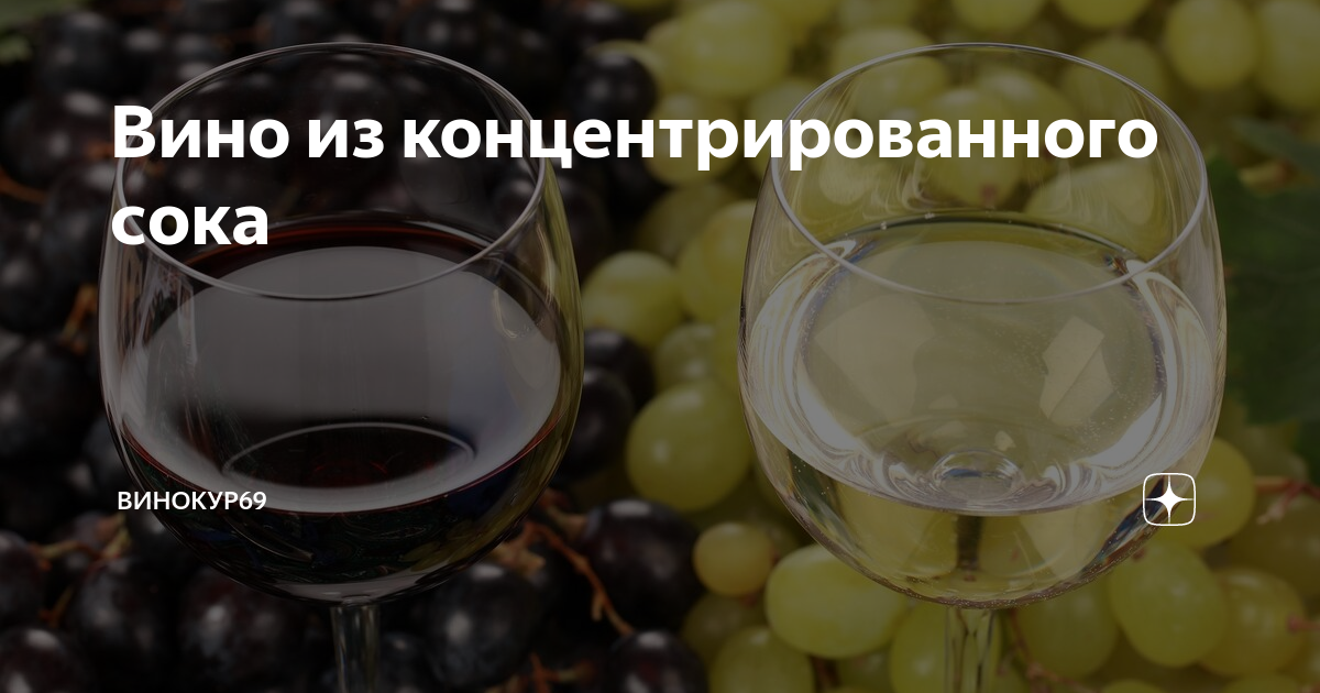 Краснокутская C.В. Приготовление соков и натуральных вин в домашних условиях