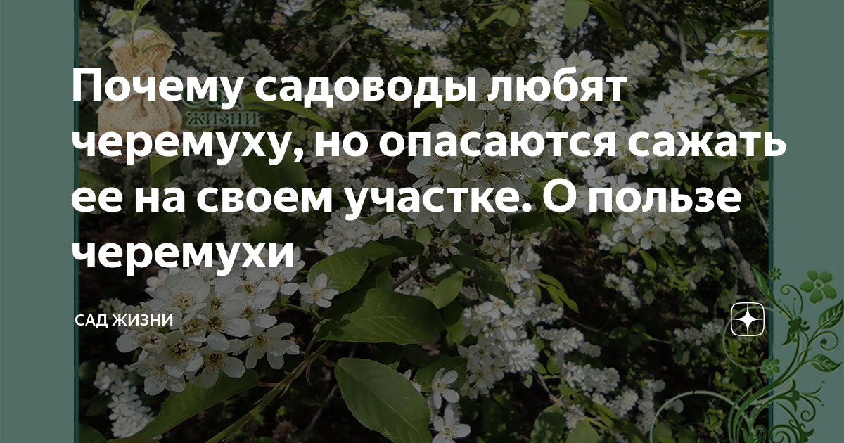 Они то шелестят как травы то бормочут как родники то пересвистываются как птицы схема предложения