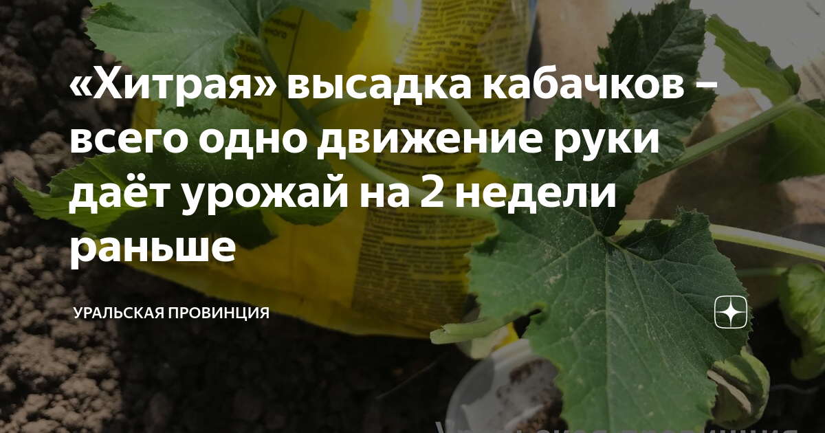 От кабачков разъело руки