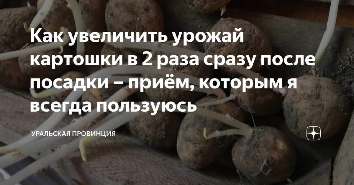 Как увеличить урожай картошки в 2 раза сразу после посадки – приём ...