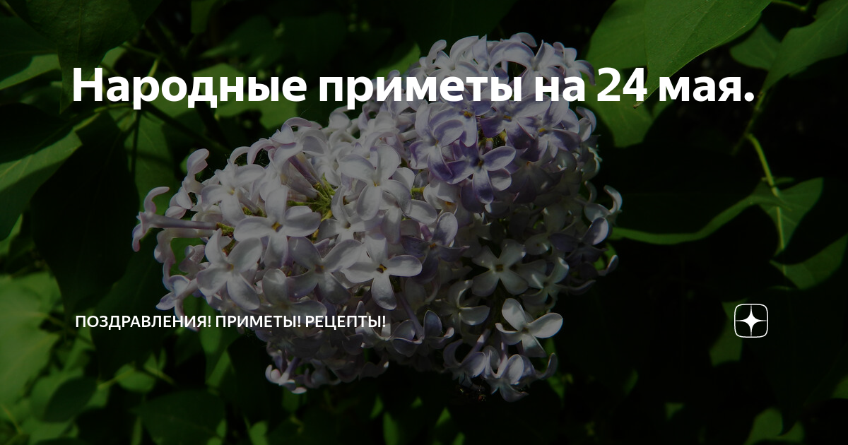 Мокей мокрый 24 мая картинки