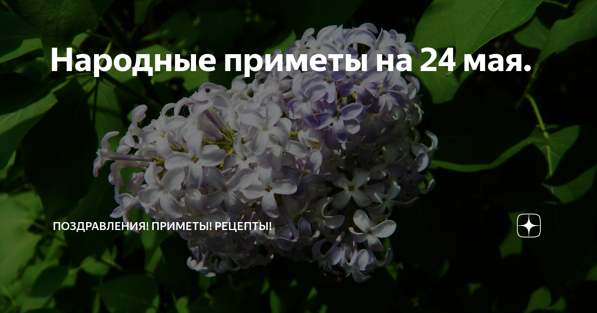 Приметы на 24 ноября 2023 года. Народные приметы на 24 мая. Приметы на 24 мая.