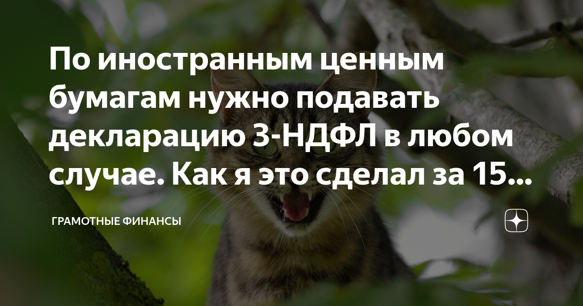 По иностранным ценным бумагам нужно подавать декларацию 3-НДФЛ в любом ...