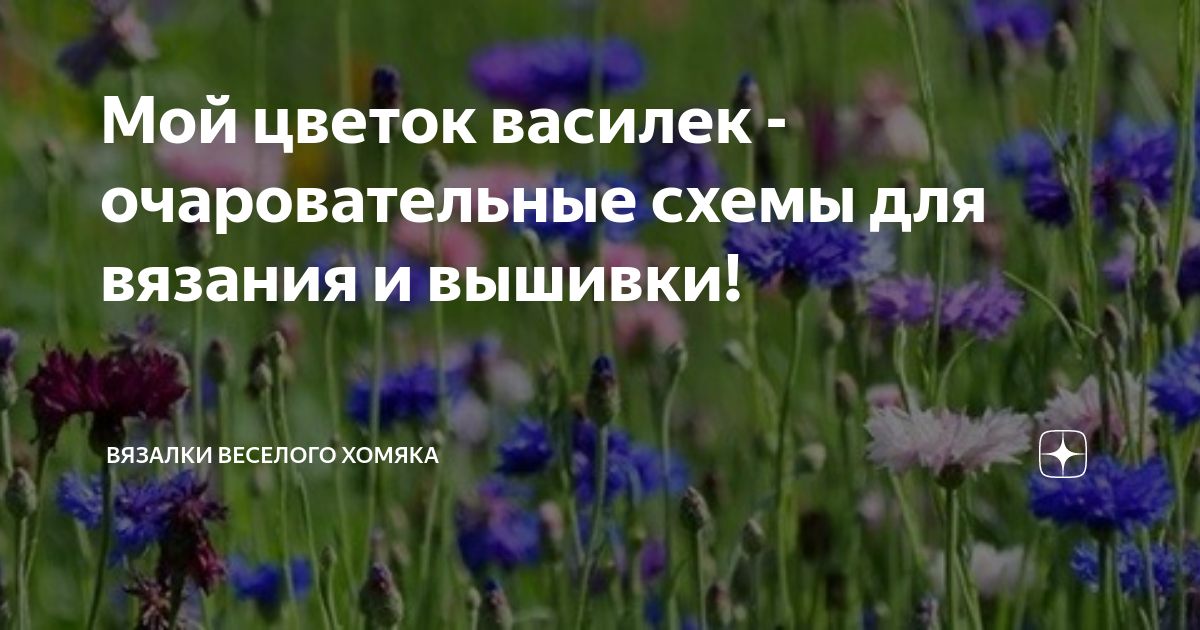 Формула василька. Диаграмма василька. Диаграмма цветка василька. Василек диаграмма цветка.