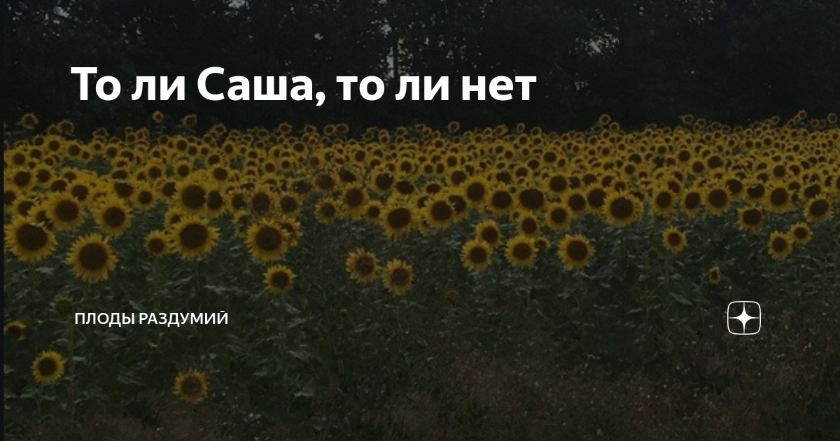 плоды раздумий дзен рассказ