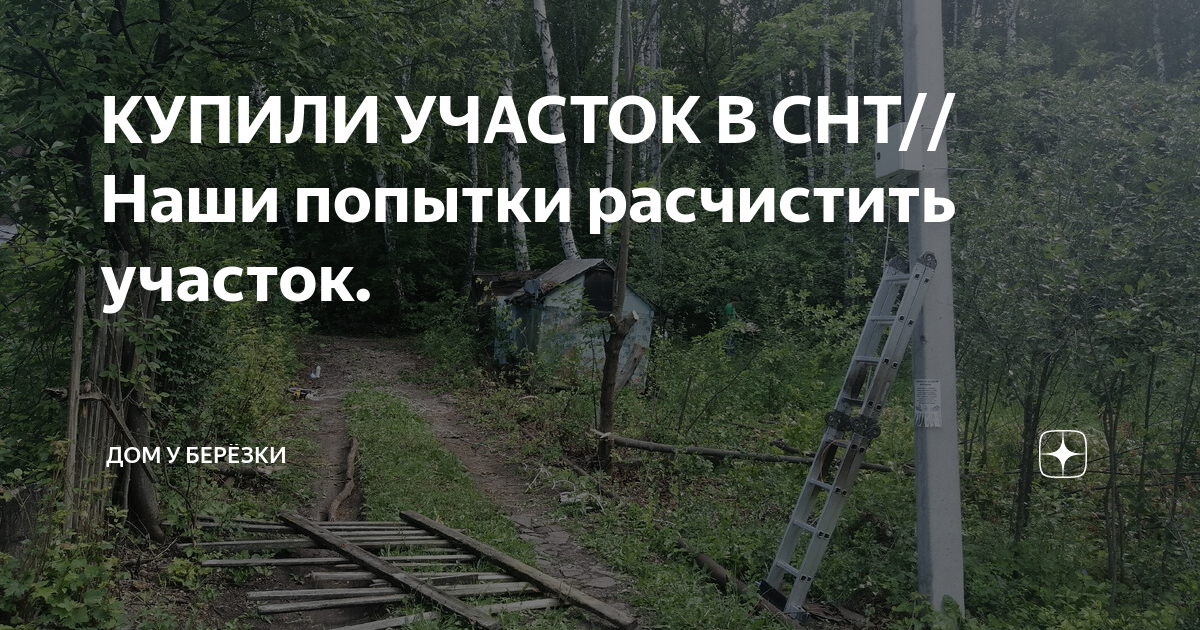 КУПИЛИ УЧАСТОК В СНТ//Наши попытки расчистить участок. | ДОМ у Берёзки ...