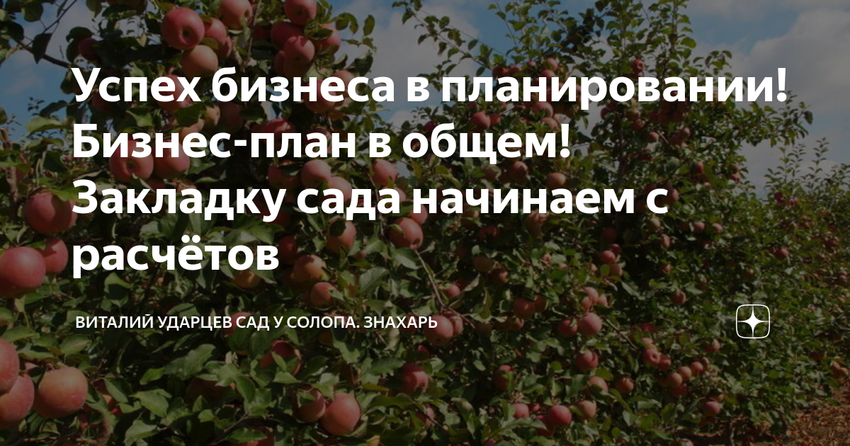 Как рассчитать сад. Бизнес в саду
