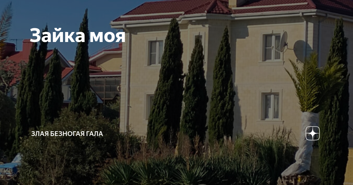 Зайка моя | Злая безногая ГАЛА | Дзен