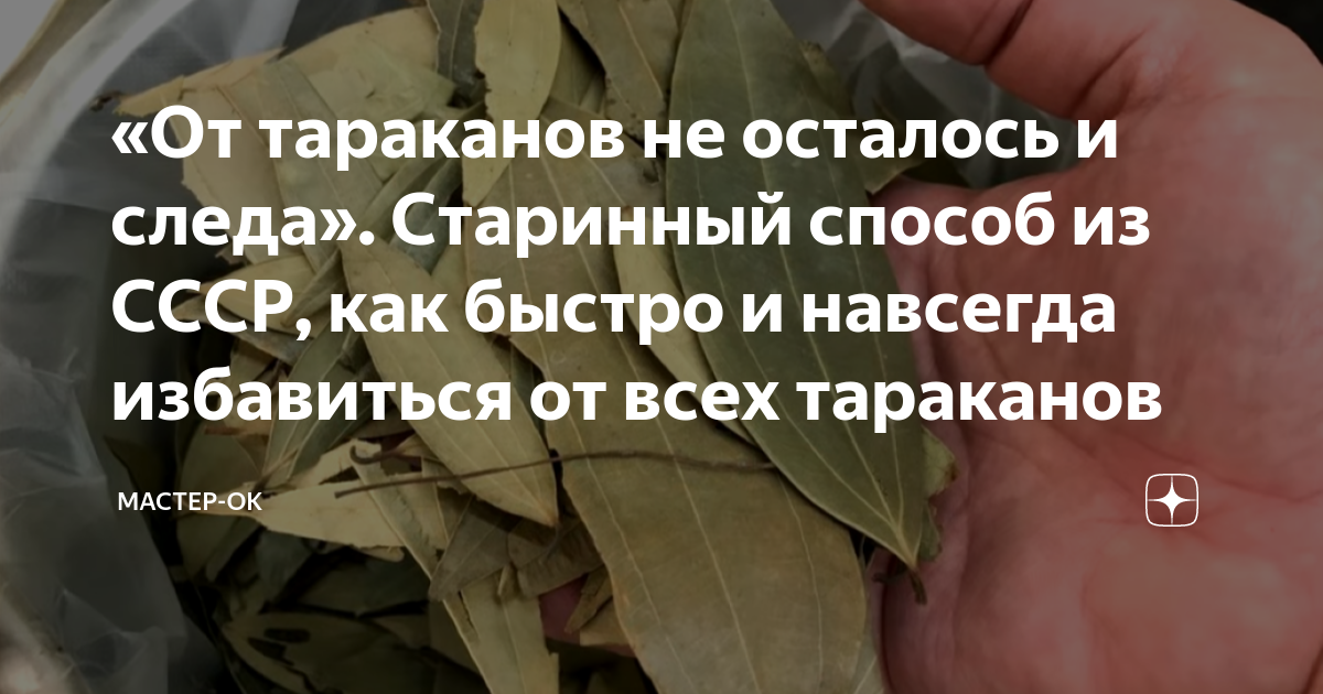 «От тараканов не осталось и следа». Старинный способ из СССР, как ...