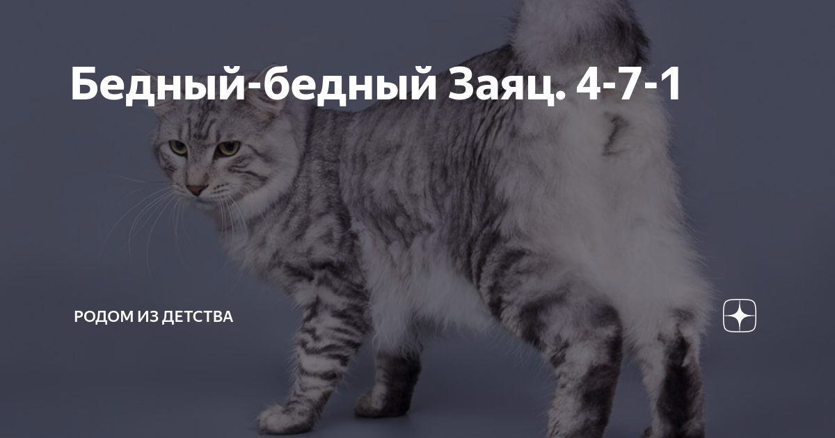 Бедный-бедный Заяц. 4-7-1 | Родом из детства | Дзен