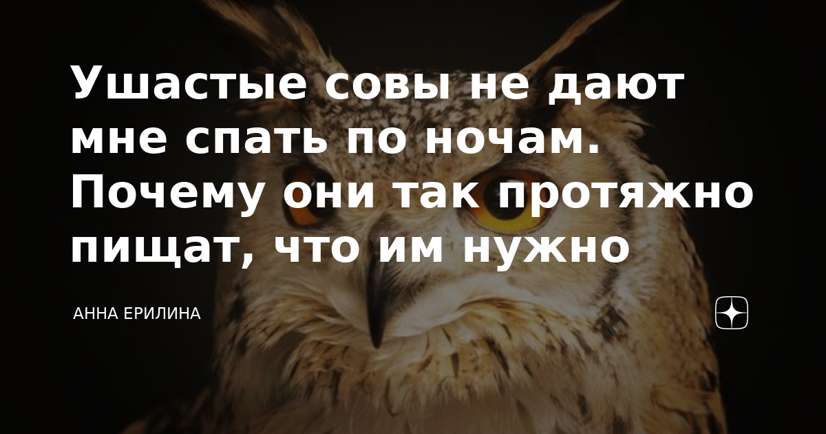Почему пищат колодки