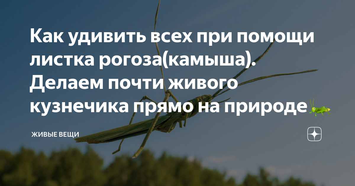 Чуть слышно по земле прошелся ветер и разбудил камыш на берегу схема