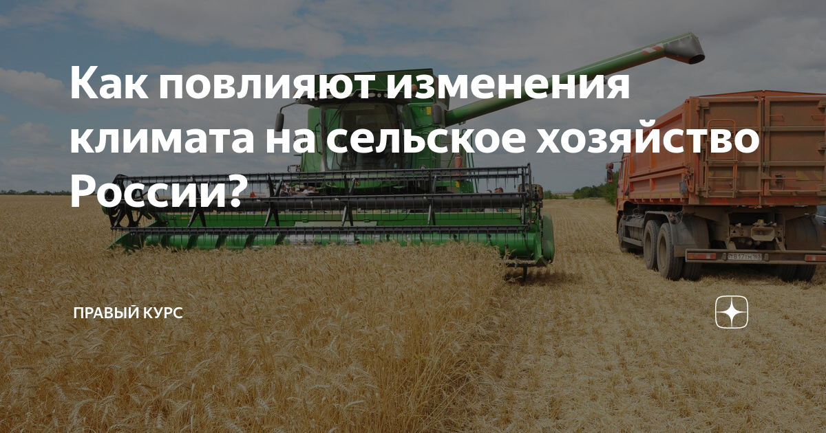 Грант на сельское хозяйство