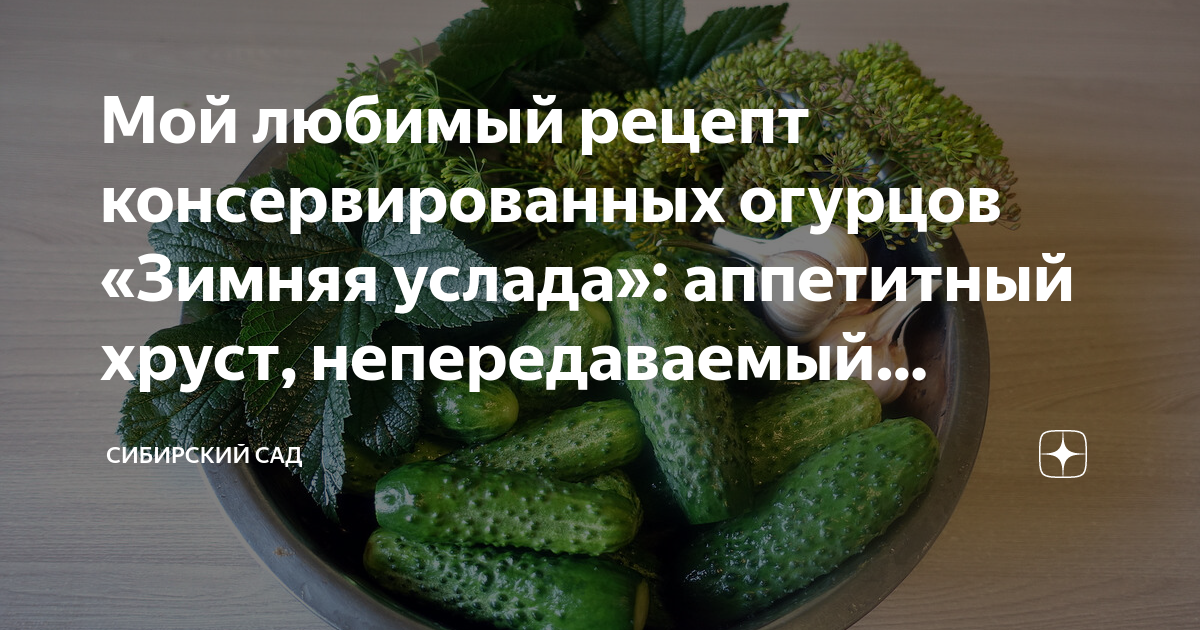 Топ-5 рецептов вкусных маринованных огурцов