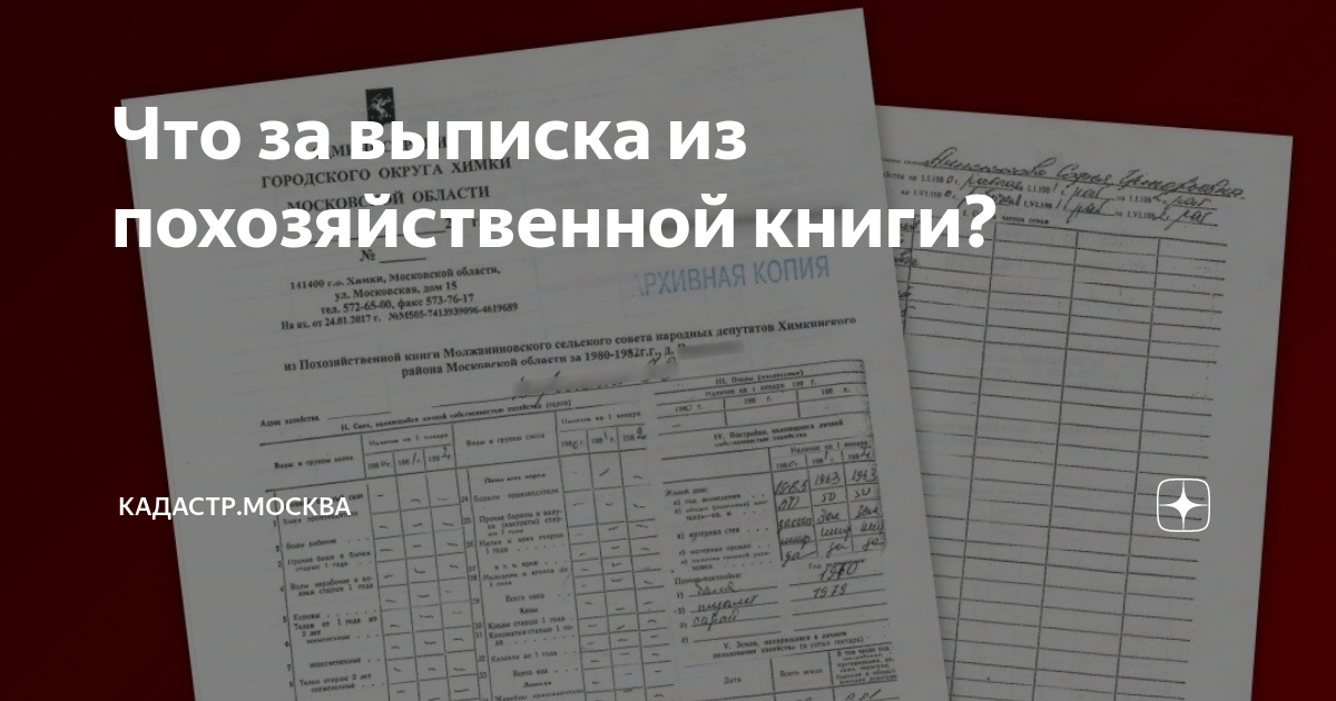 Что за выписка из похозяйственной книги? | Кадастр.Москва | Дзен