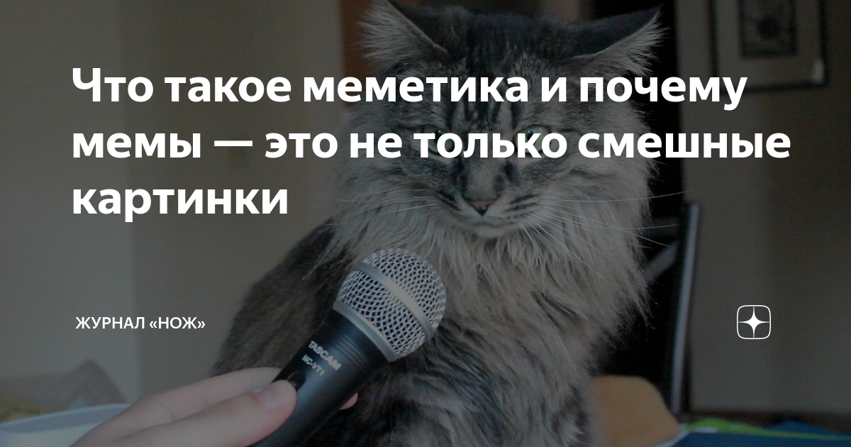 Создать комикс мем "шрек комикс, шрек приколы, картинки шрек в адидасе" - Комикс