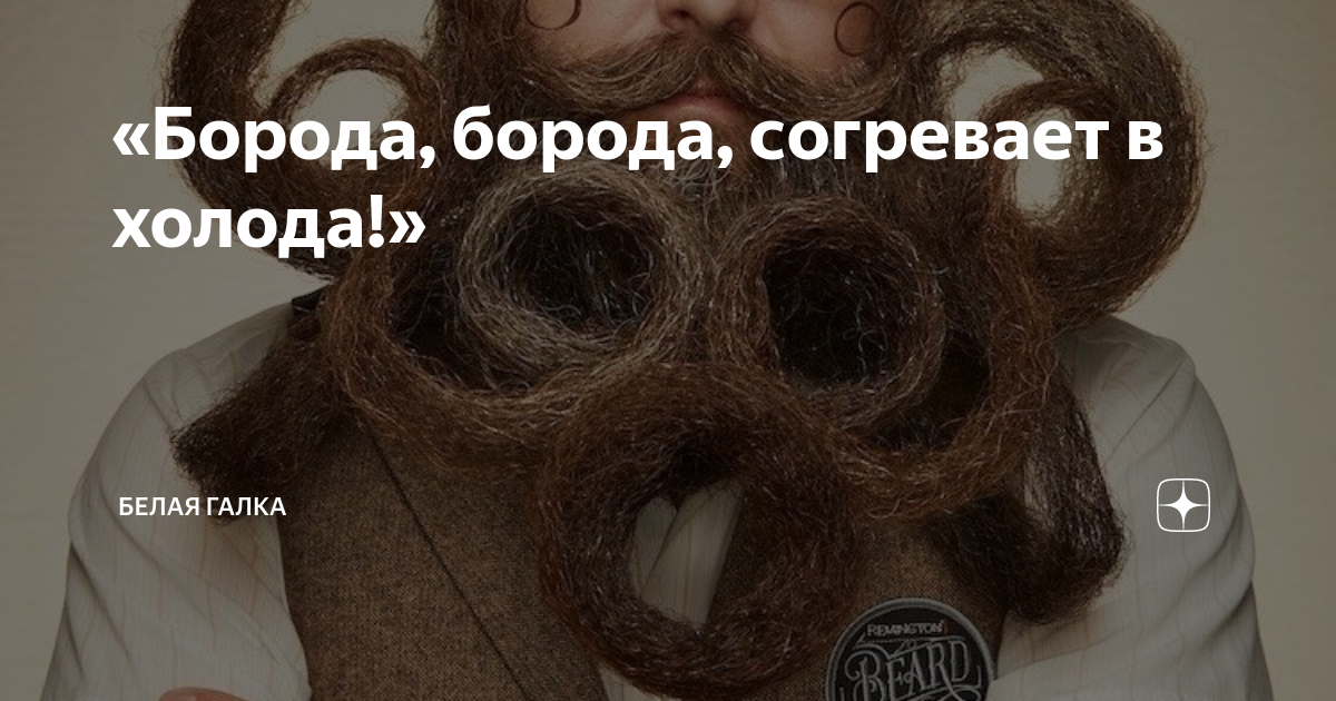 кудрявая борода. конкурс усов и бород. прикольные. борода. борода борода согревает в холода борода.