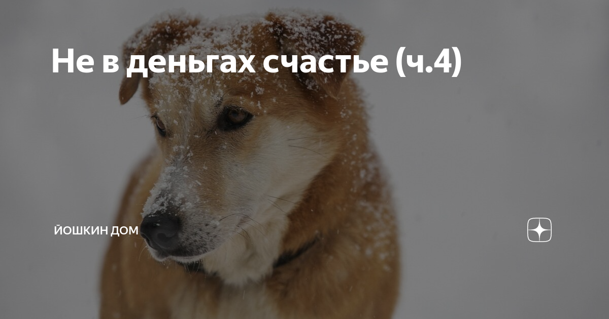 не в деньгах счастье