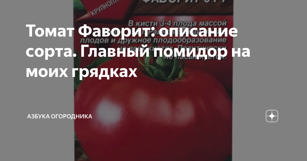 Фаворит содержание. Томат Фаворит грушевидной формы. Томат главный Калибр. Томат Фаворит Британии.