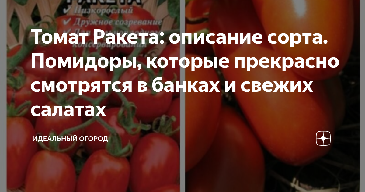 Томат Ракета (Аэлита) 1 упаковка УМ.семена 133539380 купить за 102 ₽ в интернет-