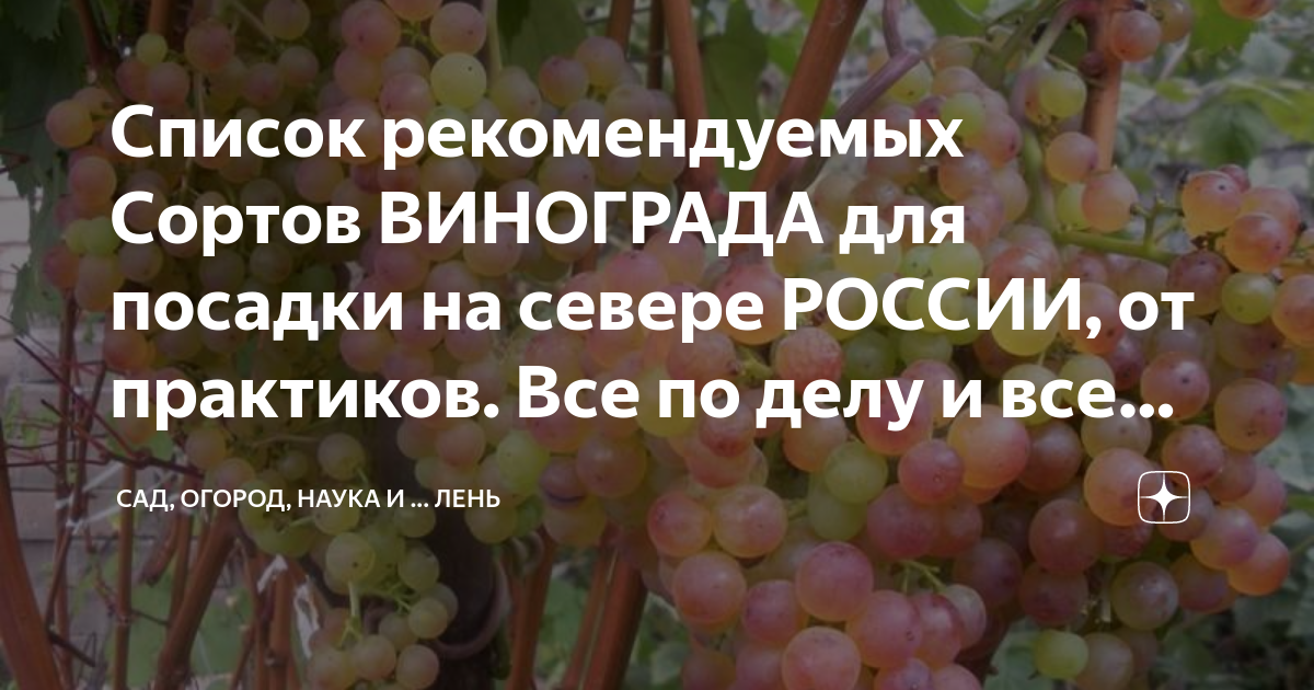 Уход за растением