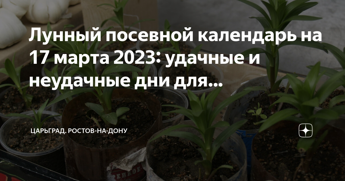 Лунно посевной календарь на ноябрь 2023 цветовода