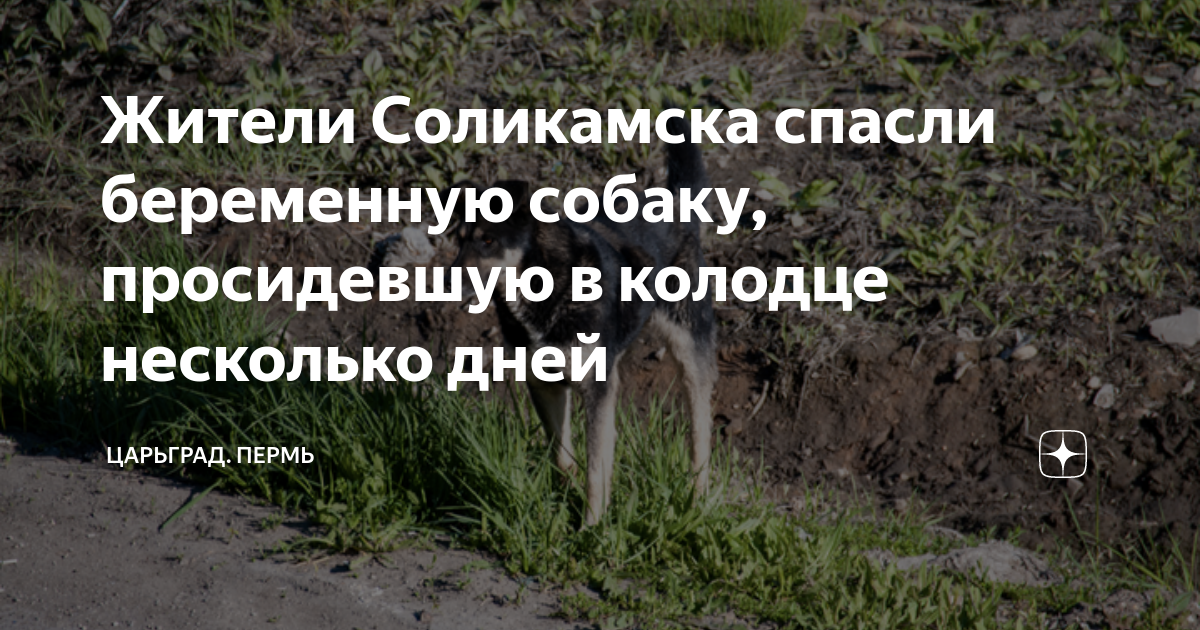 Анна мама доктор нейродерматит. Врачи спасли со 100 поражением легких тверские. Спасли беременную. Спасение беременной женщины. Спасли беременную.