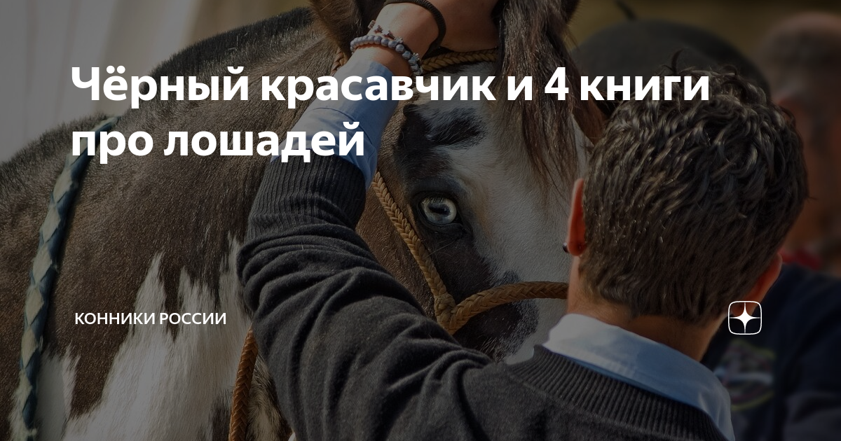 Чёрный красавчик и 4 книги про лошадей | Конники России | Дзен
