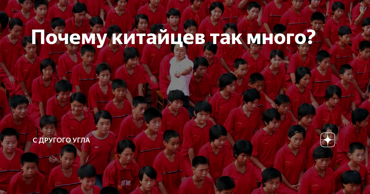 Много ли китайцев. Почему китайцев так много. Почему китайцев так много на земле. Почему так дохуя китайцев. Почему так много китайцев в Архангельске.