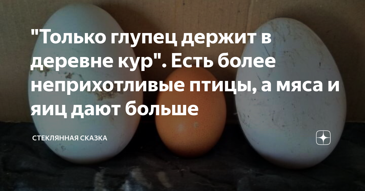есть ли белок в овсянке