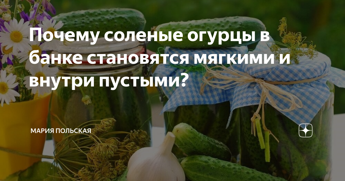 Почему огурец стал огурцом. Почему солёные огурцы становятся мягкими в банках. Солёные огурцы пустые внутри причина. Почему солёные огурцы становятся мягкими и пустыми внутри. Почему огурцы внутри пустые.