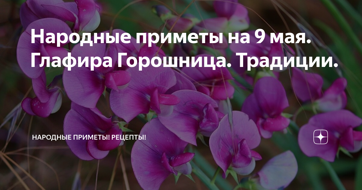 Народные приметы на 9 мая 2024 года