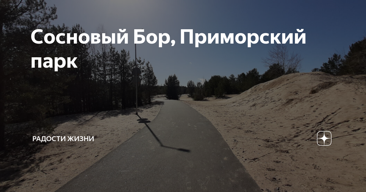 Сосновый Бор, Приморский парк | Радости жизни | Дзен