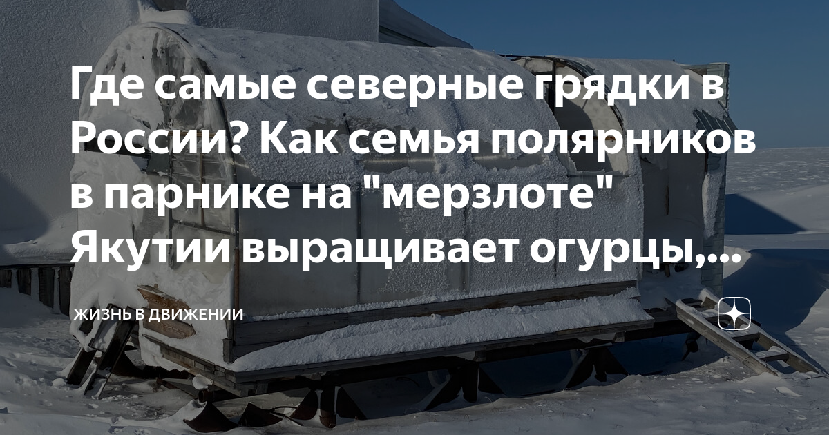 Где самые северные грядки в России? Как семья полярников в парнике на ...