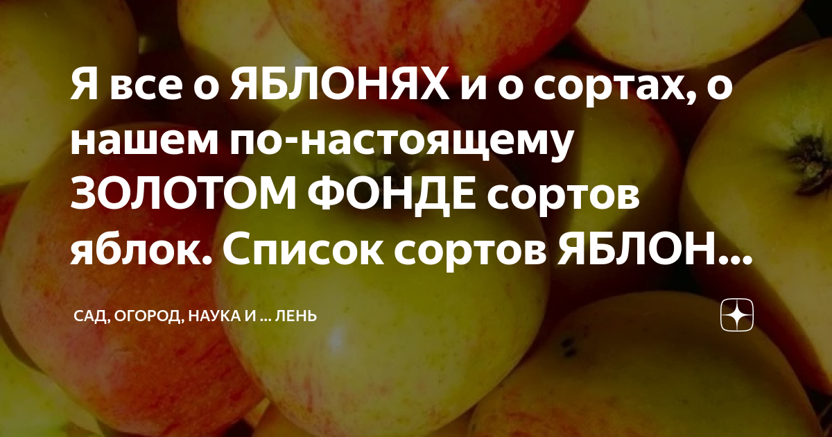 Я все о ЯБЛОНЯХ и о сортах, о нашем по-настоящему ЗОЛОТОМ ФОНДЕ сортов ...