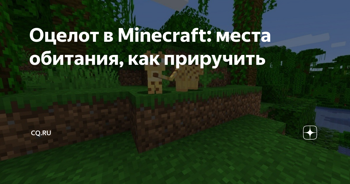 Все, что вам нужно знать об Оцелоте [Абсолютный Оцелот… | амортизационные-группы.рф