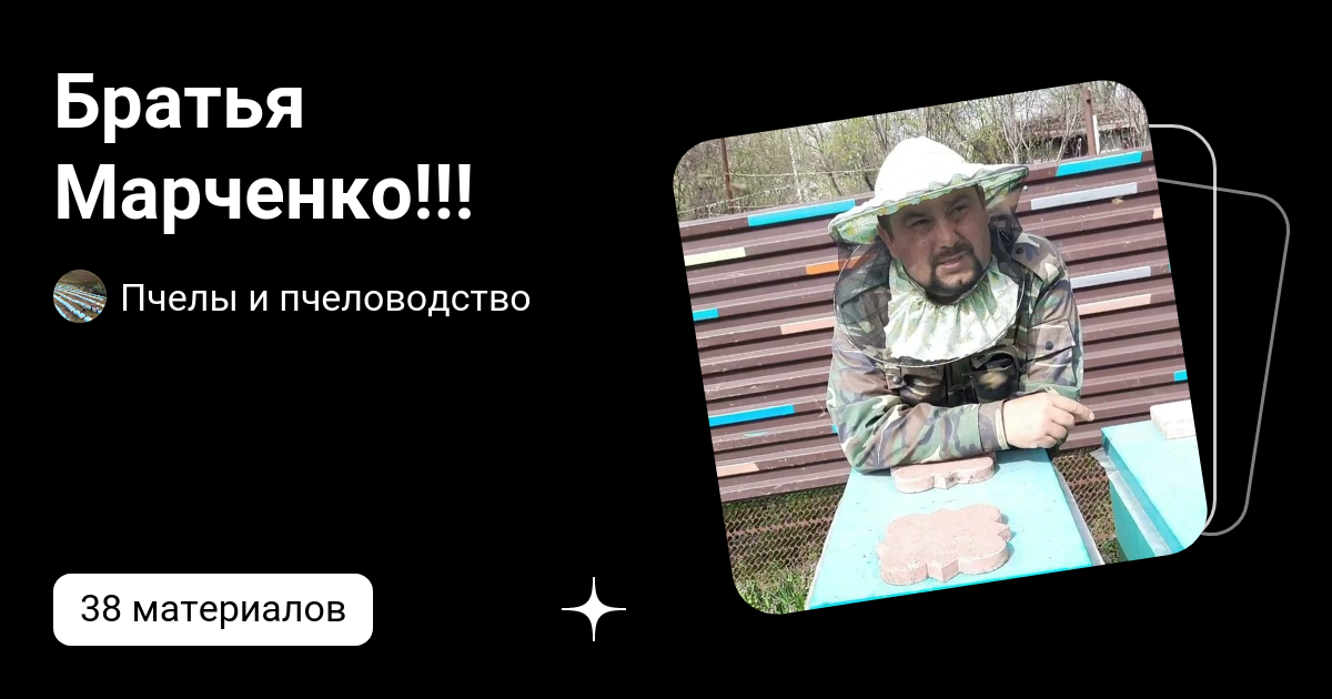 Пасека братьев марченко. Братья марченко пчеловоды. Пасека братьев марченко. Пчеловод марченко братья марченко. Видео братья пчеловоды.