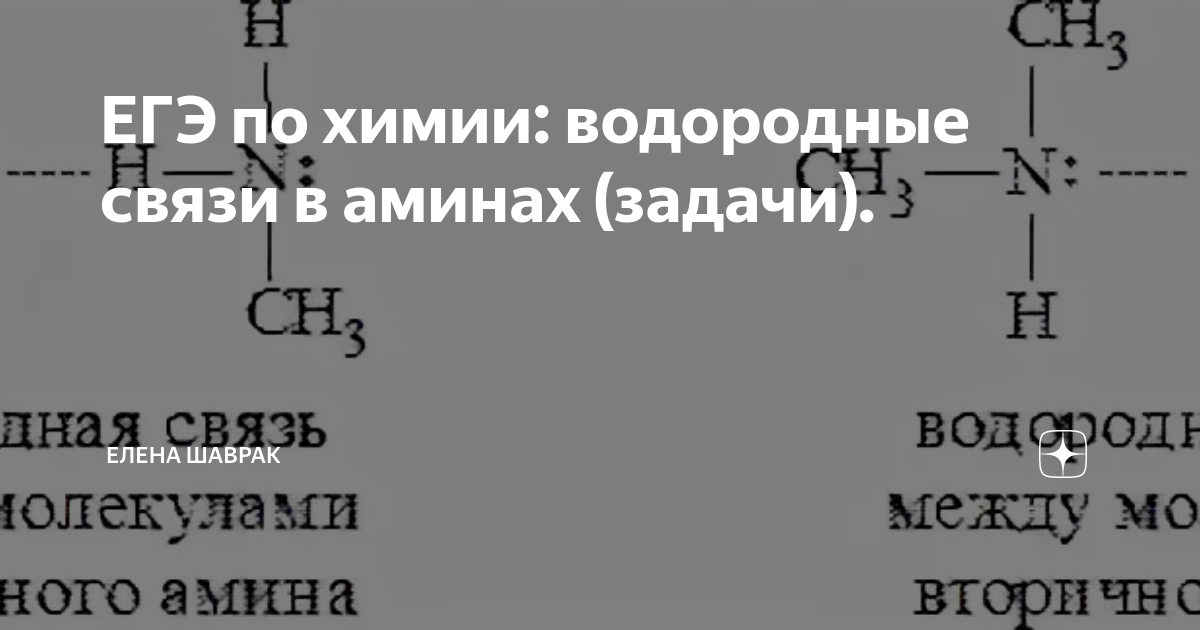 ЕГЭ по химии: водородные связи в аминах (задачи). | Елена Шаврак | Дзен