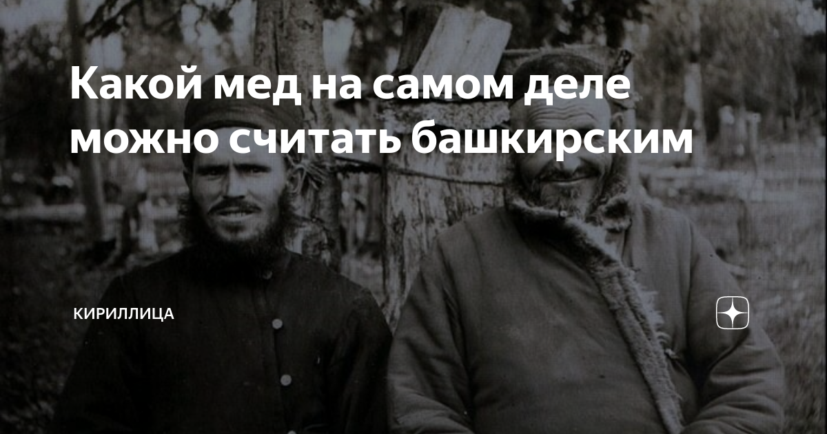 Какой мед на самом деле можно считать башкирским | Кириллица | Дзен