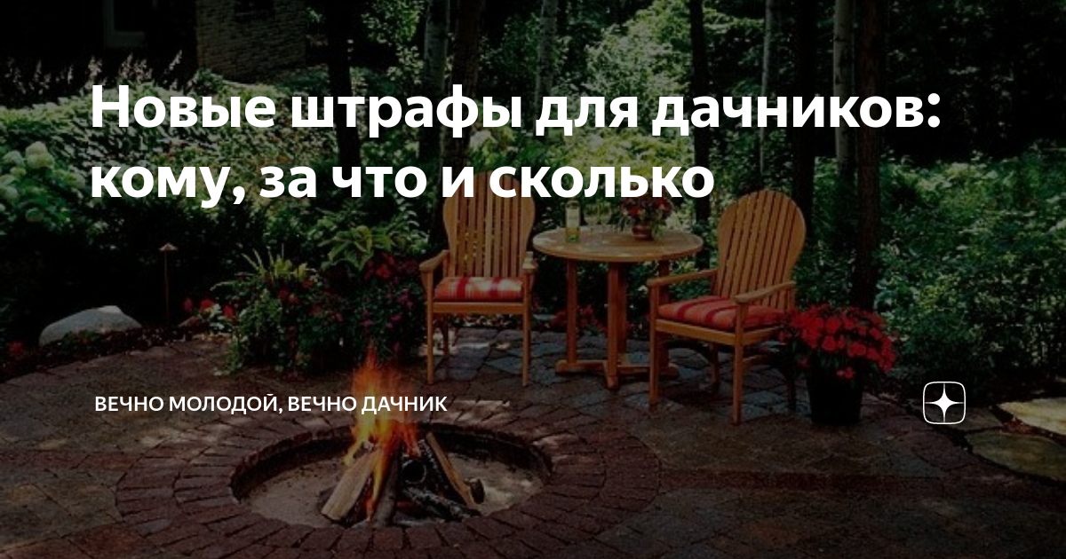 Новые штрафы для дачников: кому, за что и сколько | Вечный дачник | Дзен