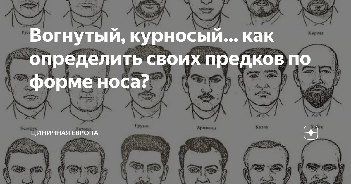 Вогнутый, курносый... как определить своих предков по форме носа ...