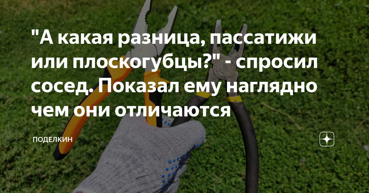 "А какая разница, пассатижи или плоскогубцы?" - спросил сосед. Показал ...