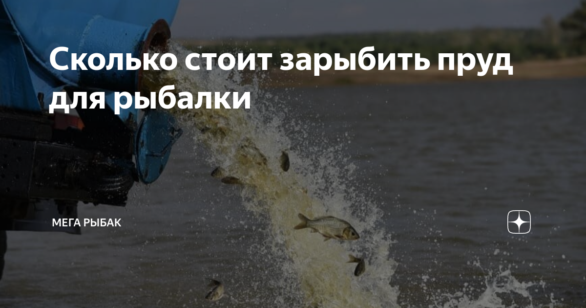 Сколько стоит зарыбить пруд для рыбалки | Мега Рыбак | Дзен