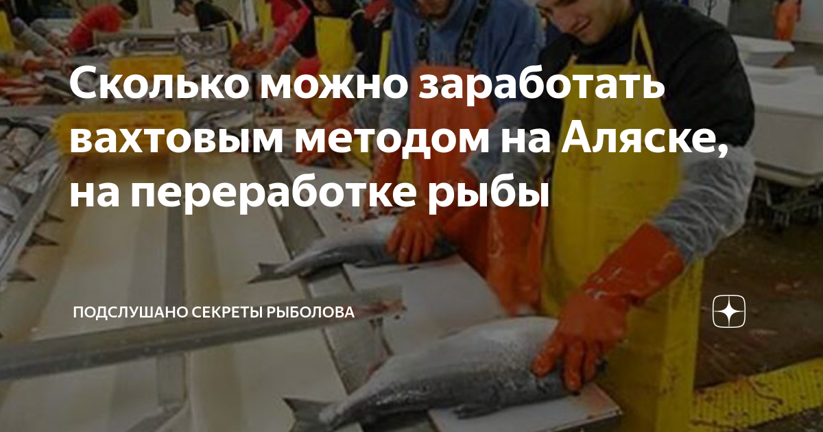 Сколько можно заработать вахтовым методом на Аляске, на переработке