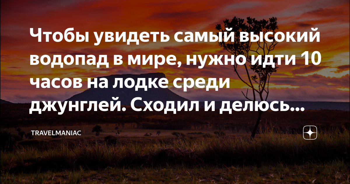 Видеть самую суть