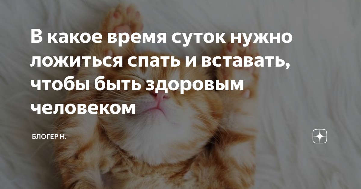 Почему необходимо ложиться до 12 часов ночи. Почему необходимо ложиться до 12 часов ночи