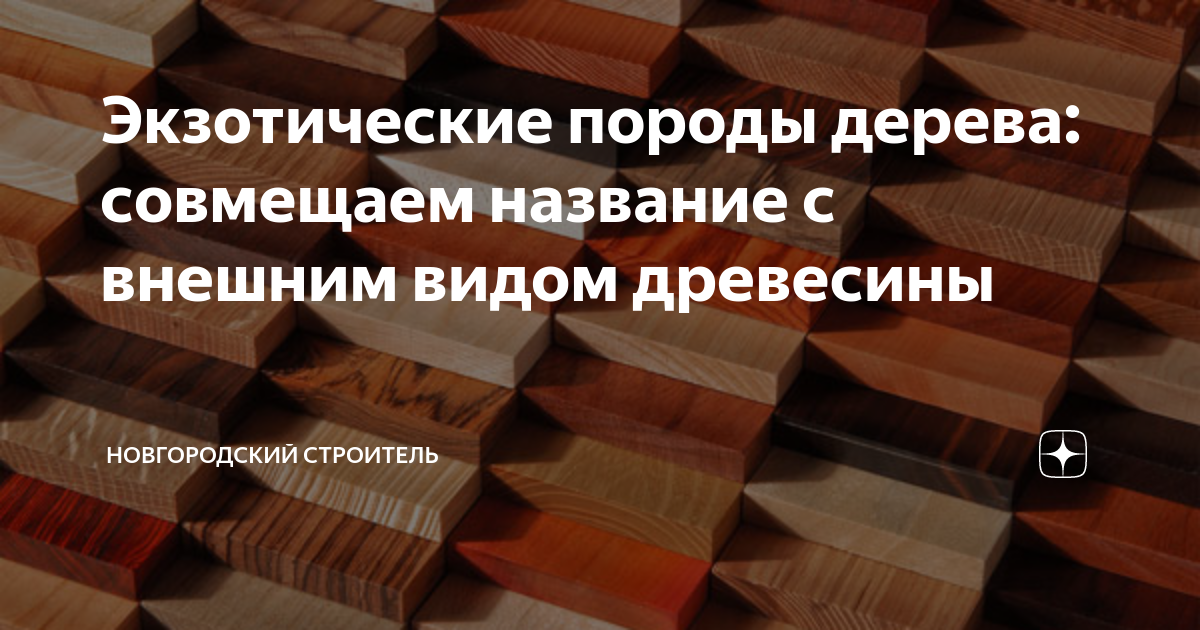 Экзотические породы дерева: совмещаем название с внешним видом ...