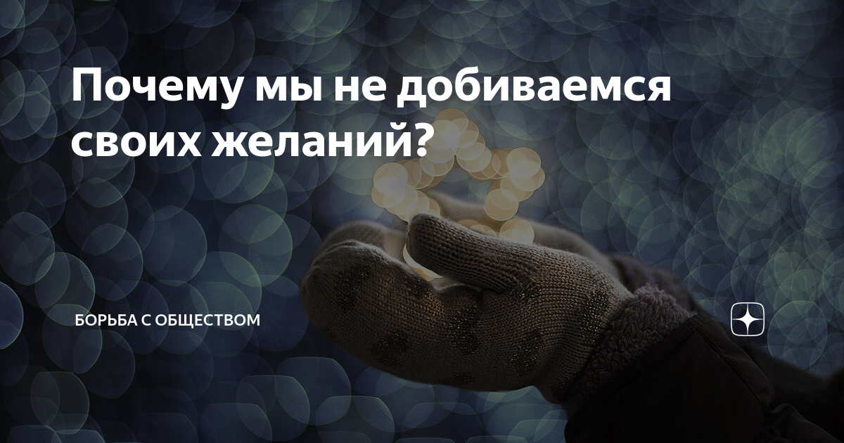 дзен общество