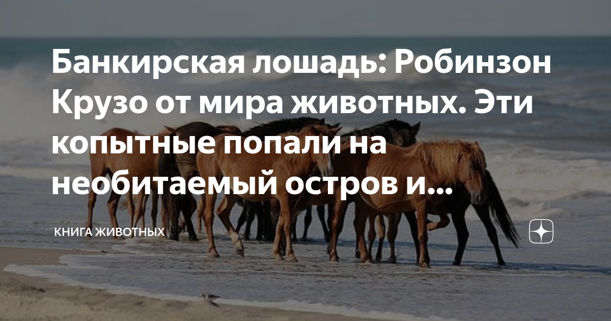 Как возникают деньги понятно что робинзону крузо на необитаемом острове составьте план текста