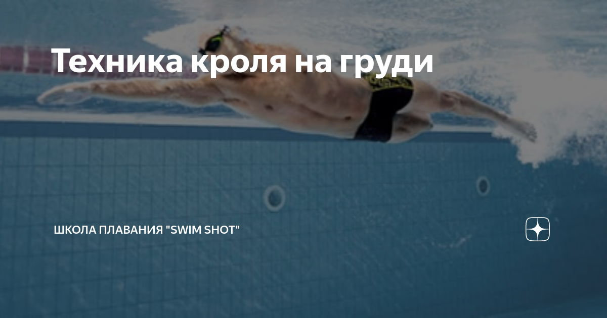 Техника кроля на груди | Школа Плавания \"Swim Shot\" | Дзен